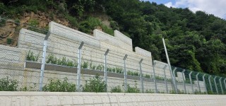 양구 금악계단식 옹벽 -황매화 식재